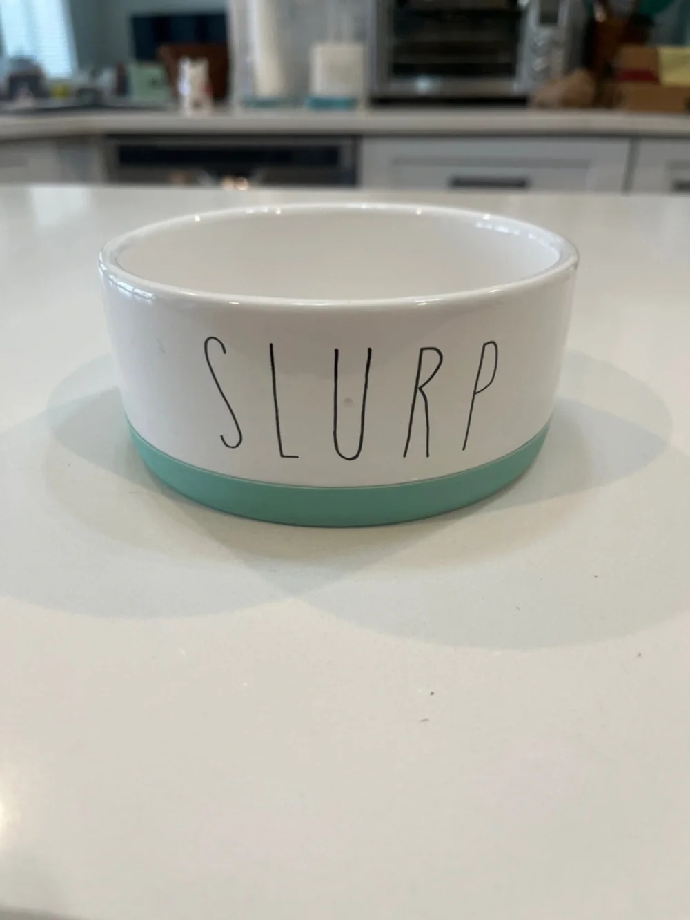 Ceramic Dog Bowl in White with Mint Accent - SLURP Design